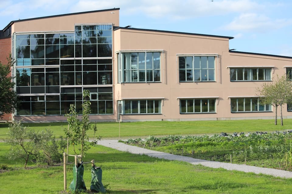 Proč má polovina školních webů v Česku stejný problém (a jak to poznáte i vy)
